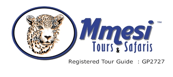 Mmesi Tours & Safaris logo